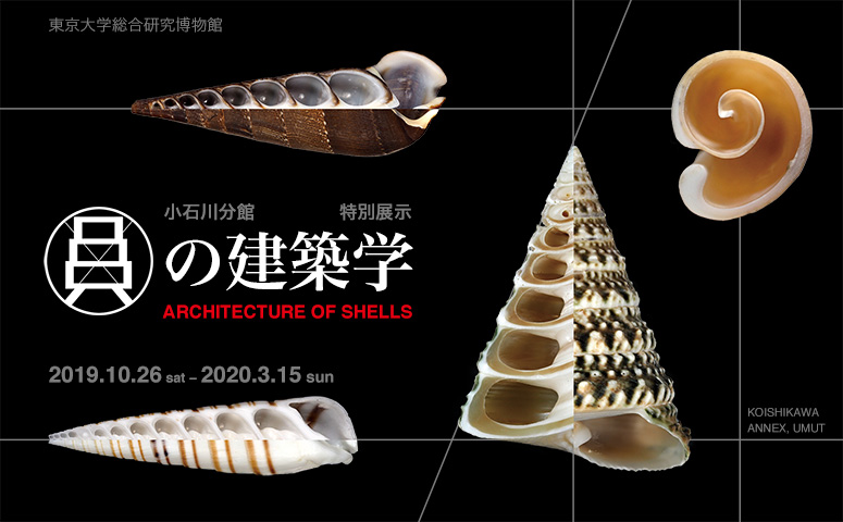  Architecture of Shells