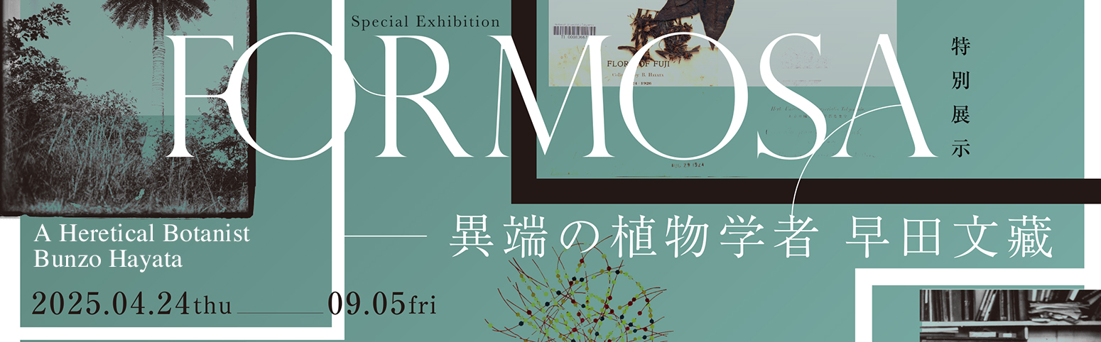 東京大学総合研究博物館 The University Museum, The University