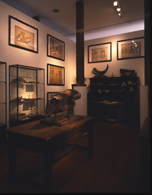 レビュー高評価のおせち贈り物 The 東京大学総合研究博物館 University University The Museum, アート・デザイン・音楽