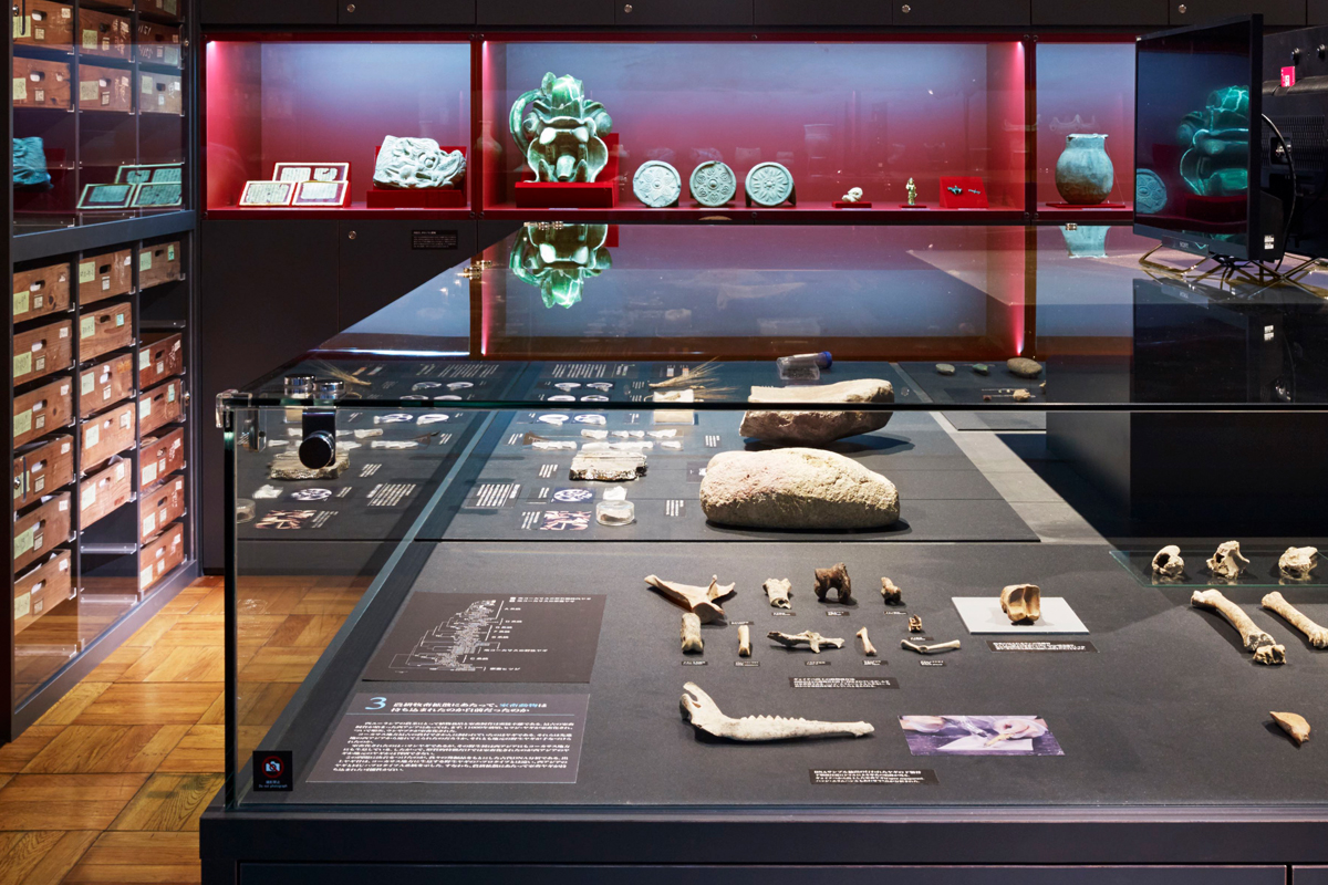 Cultures and civilizations