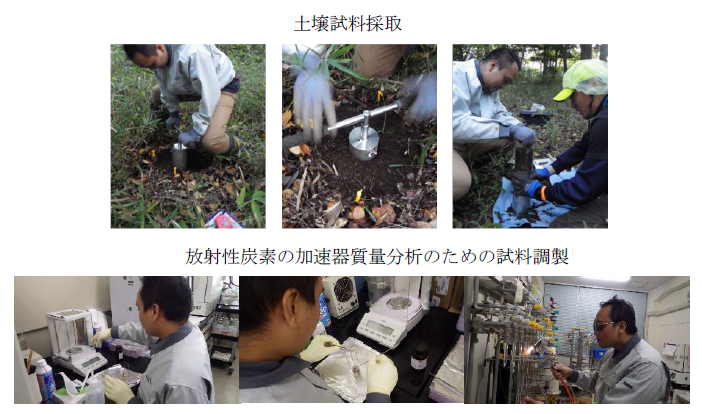 図3　アジア諸国の研究チームの若手研究者を受け入れた研修の様子（上　土壌試料採取　下　放射性炭素の加速器質量分析のための試料調製）