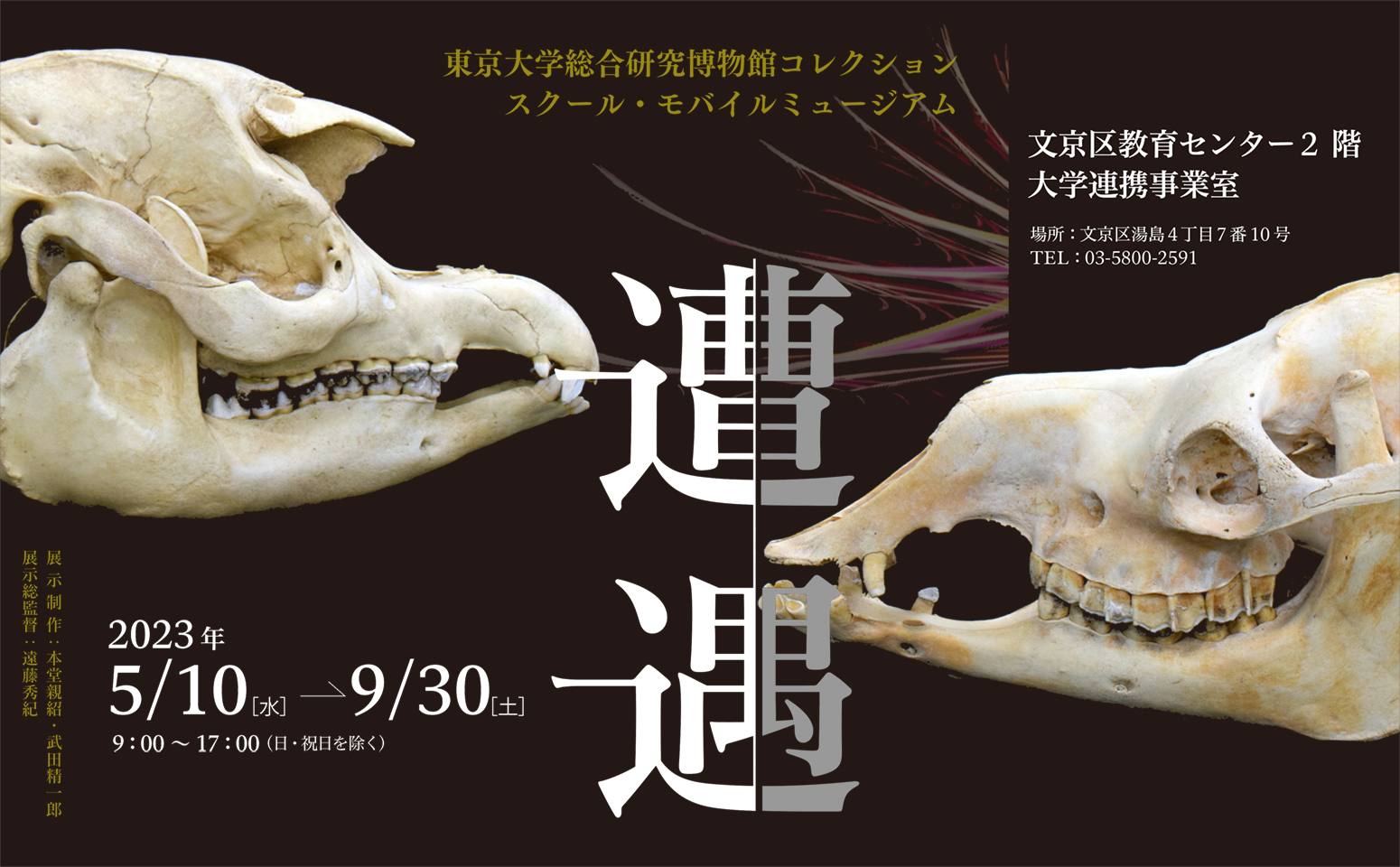 School Mobilemuseum, UMUT "SOUGU (ENCOUNTER)"