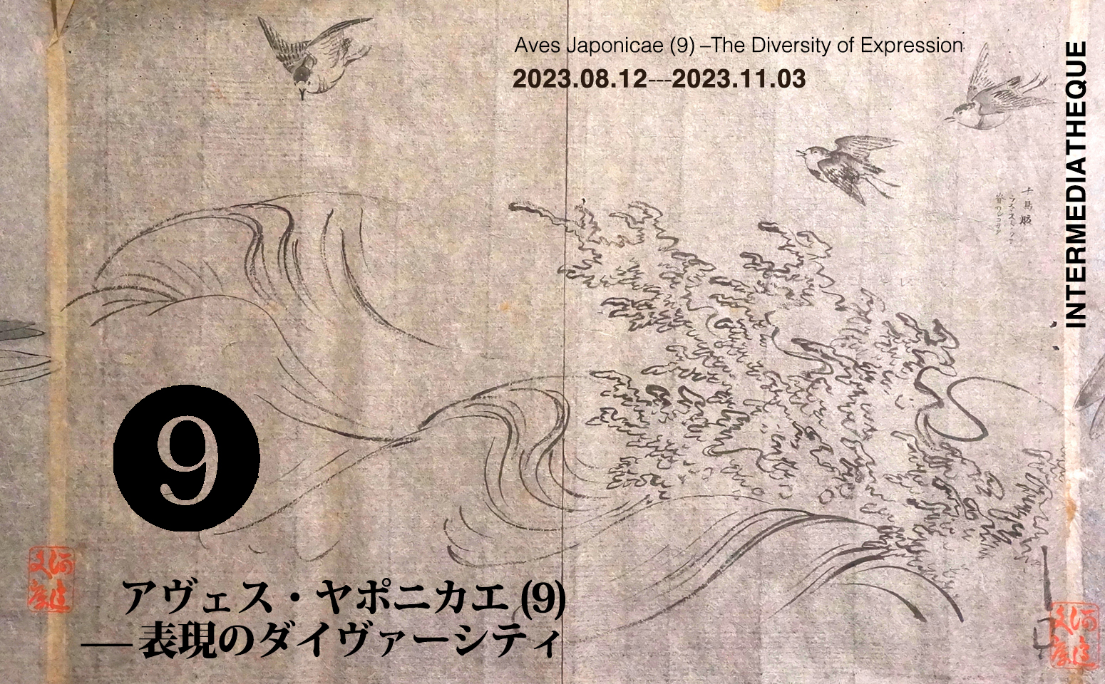 Aves Japonicae 〈9〉 – The Diversity of Expression