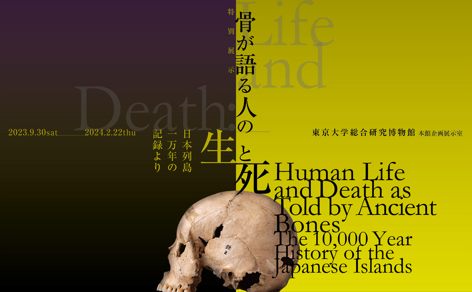 Human Life and Death as Told by Ancient Bones : The 10,000 Year History of the Japanese Islands