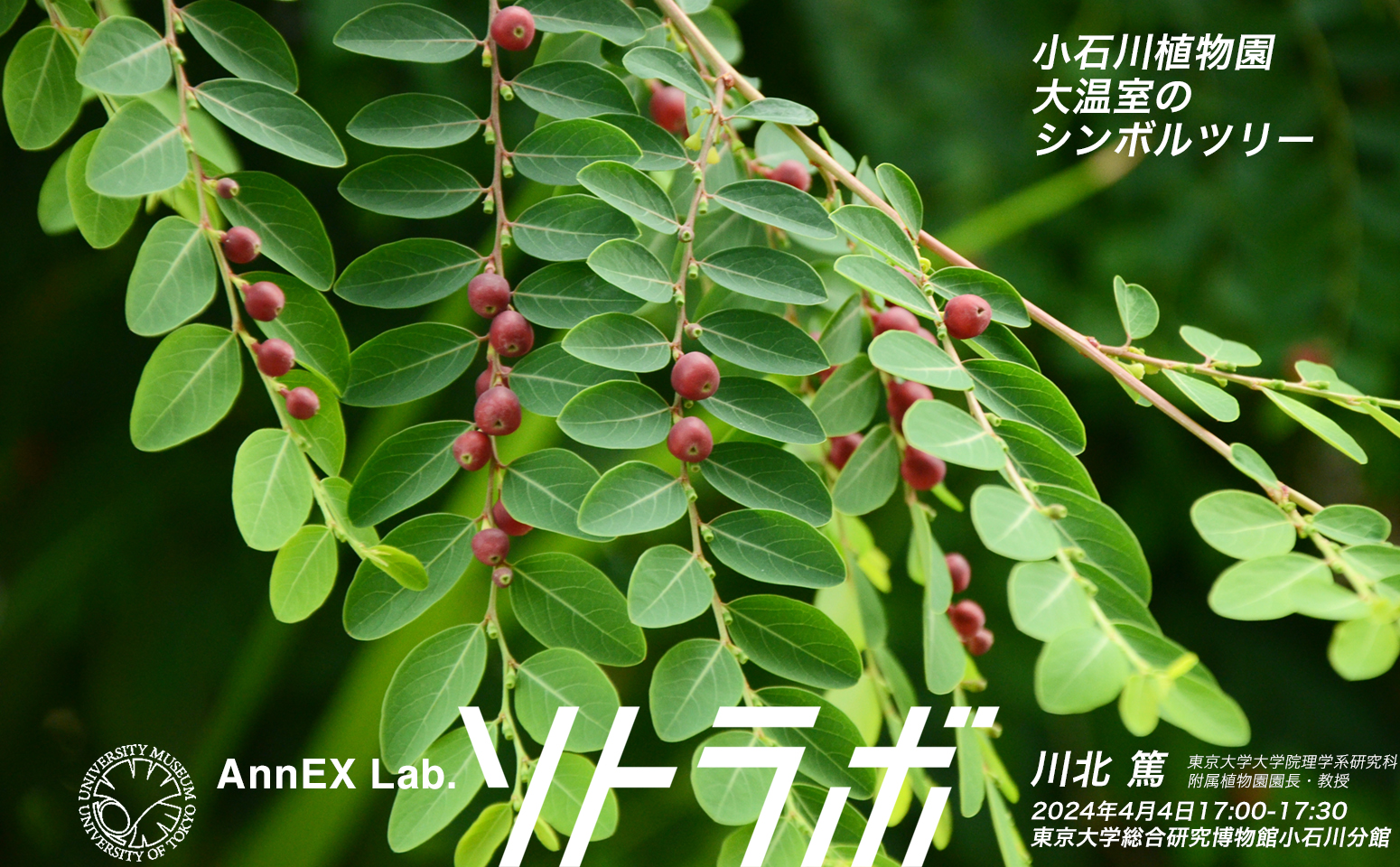 AnnEX Lab.　ソトラボ 東京大学総合研究博物館小石川分館館外ラボラトリー
