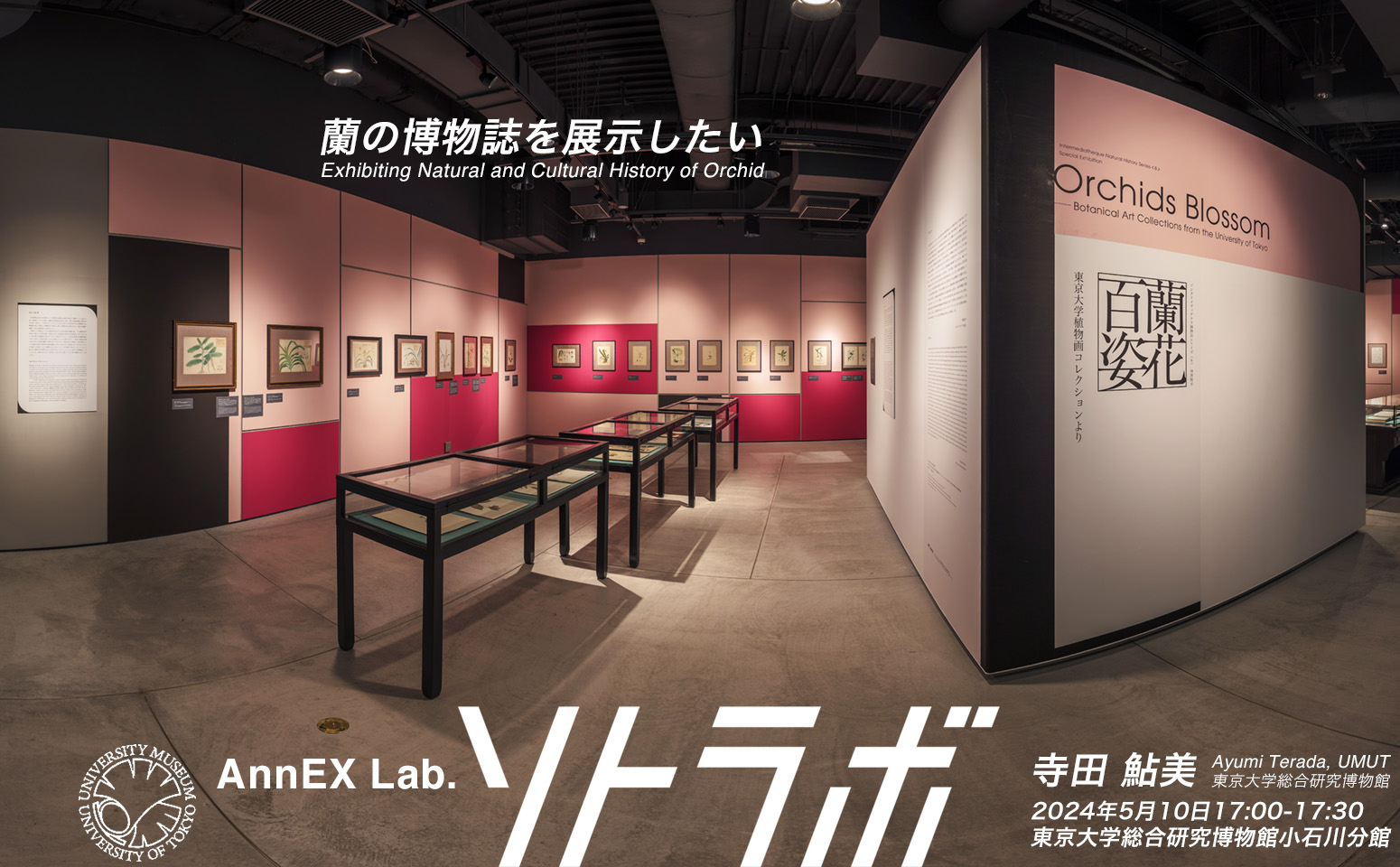 SOTOLABO : UMUT Koishikawa Annex Exo-Lab.