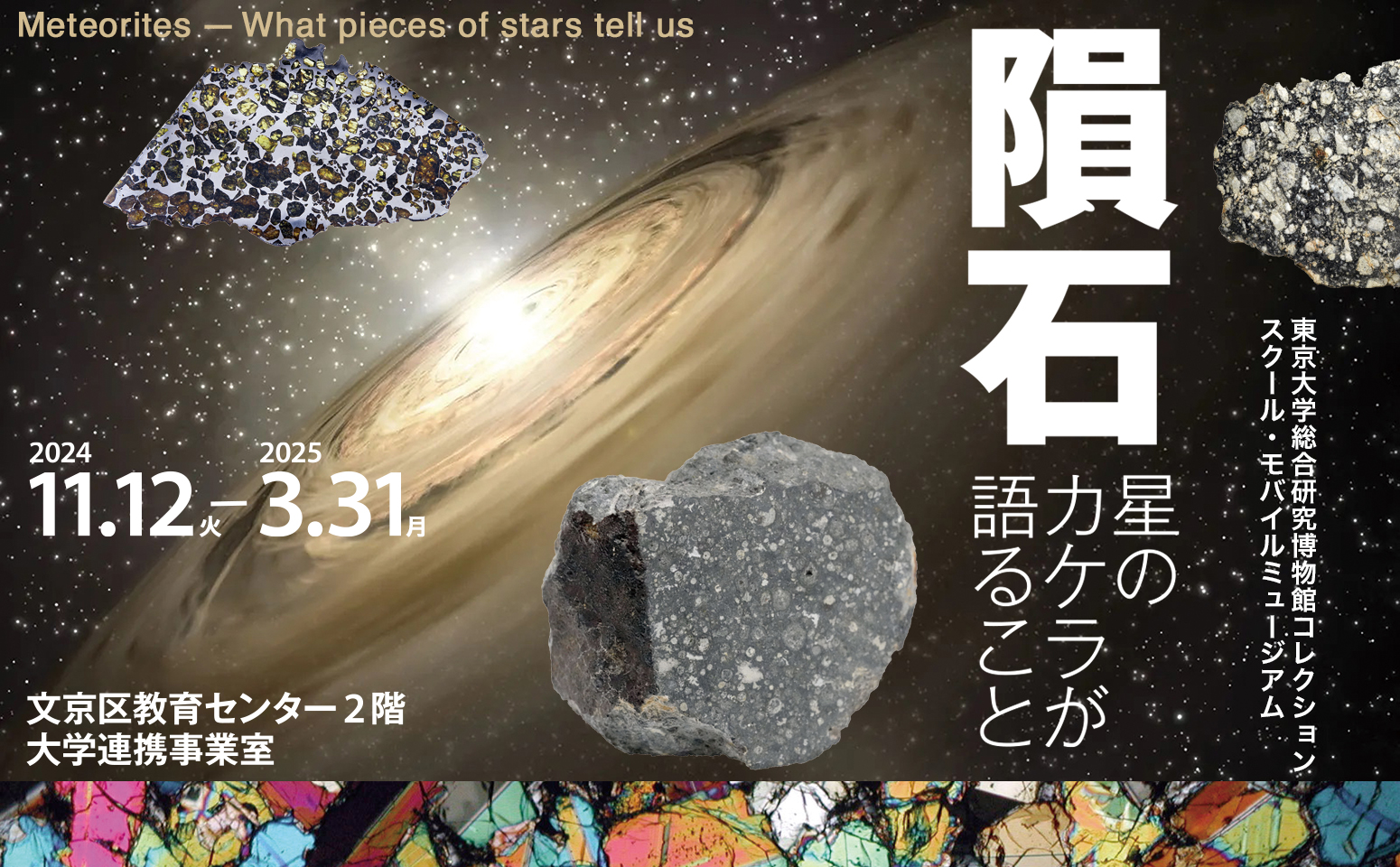 js 棒 乗る エロ 東京大学総合研究博物館