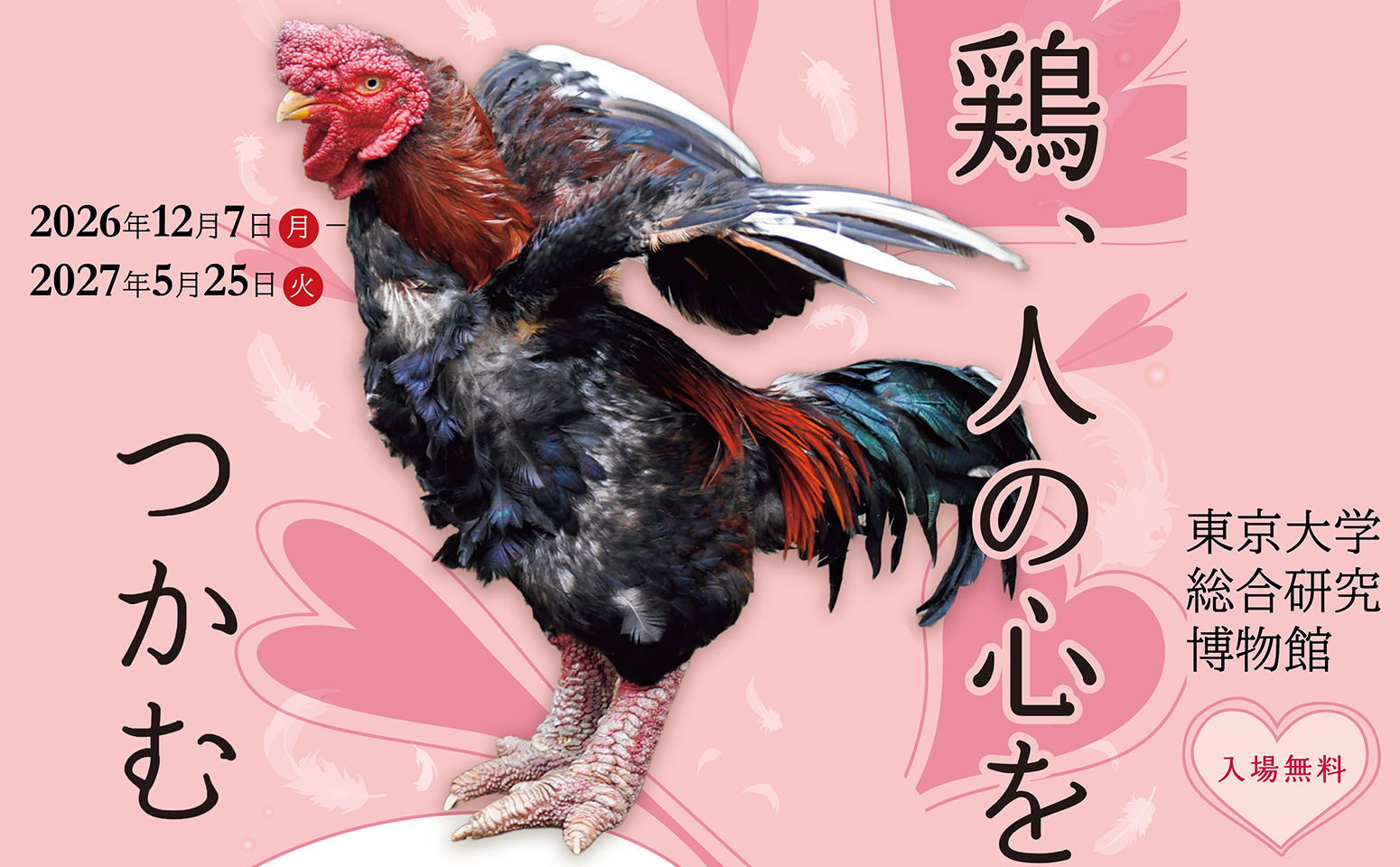 特別展示「 鶏、人の心をつかむ」